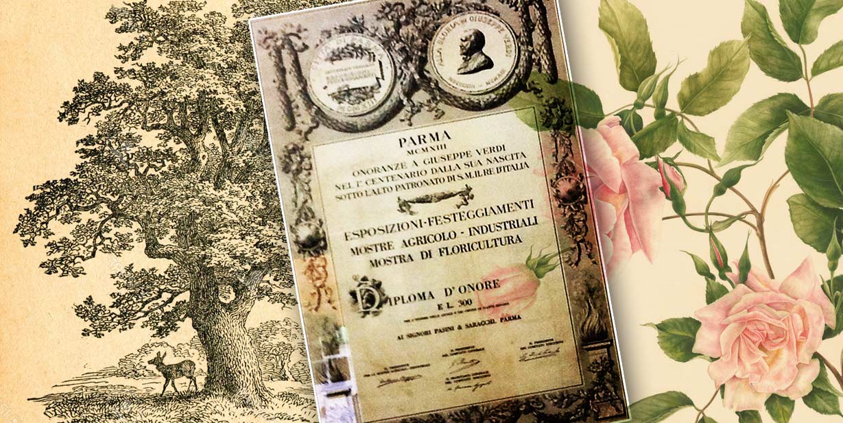 attestato diploma d'onore saracchi piante